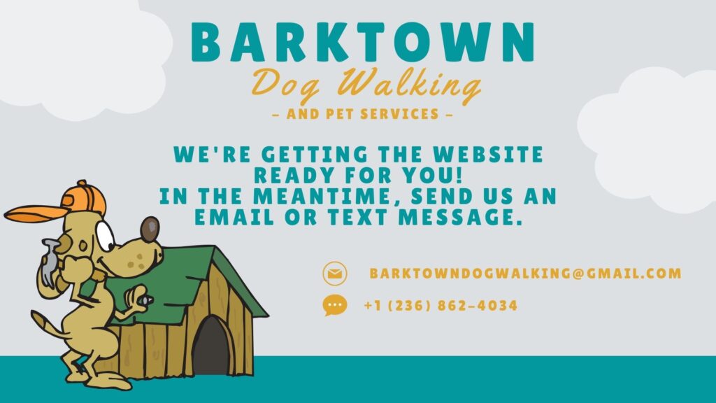 barktown dog walking